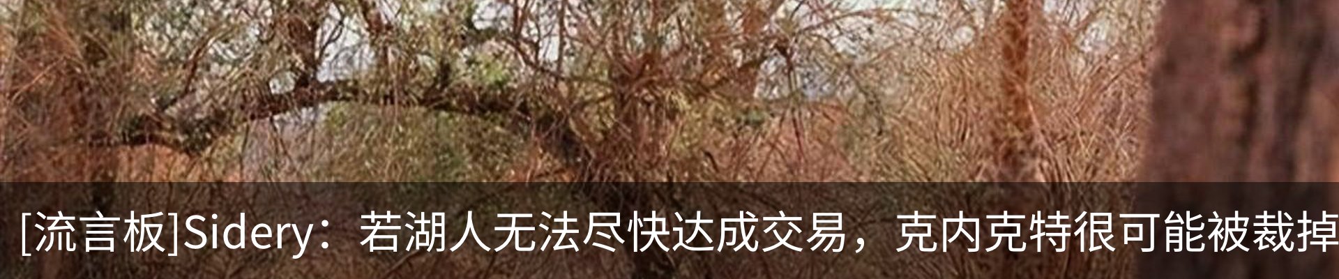 最新动态